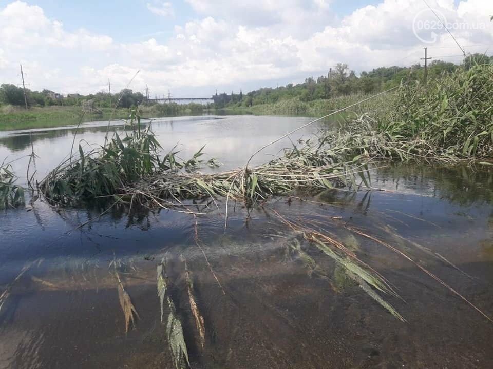 Тополиная роща астрахань фото