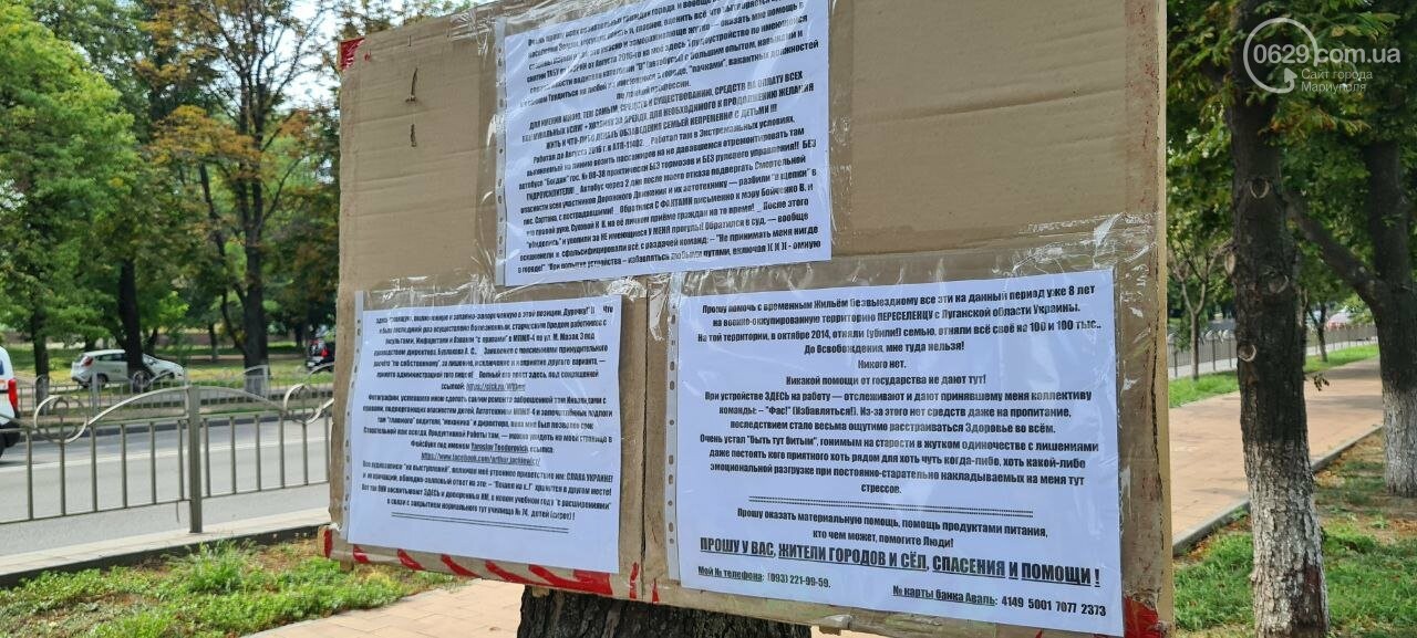 "Помогите жители городов и сел!" В Мариуполе мужчина с котом поселился под офисом партии Зеленского, - ФОТО, фото-4