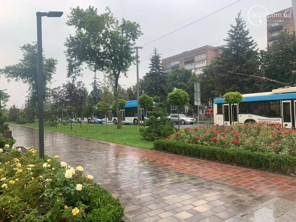 Почему в Мариуполе на проспекте Мира стояли троллейбусы, - ФОТО, фото-1