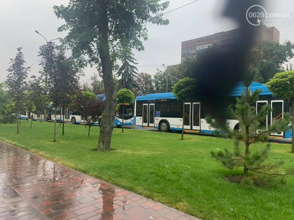 Почему в Мариуполе на проспекте Мира стояли троллейбусы, - ФОТО, фото-2