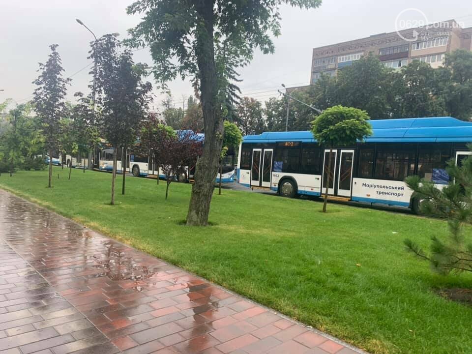 Почему в Мариуполе на проспекте Мира стояли троллейбусы, - ФОТО, фото-4