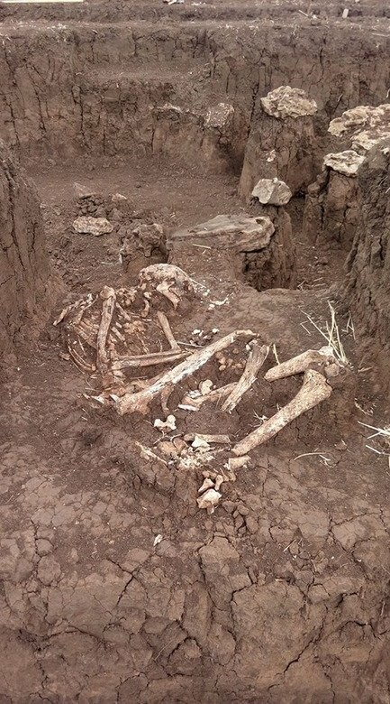Под Мариуполем  в  разрушающемся кургане нашли останки киммерийца,- ФОТО