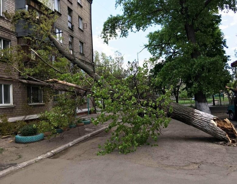 Деревянные тротуары в архангельске фото