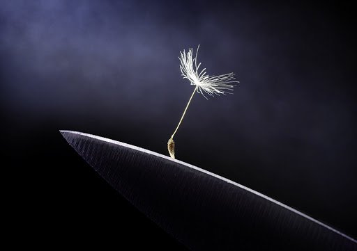 По краю лезвия