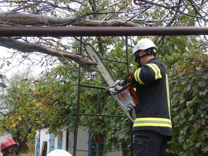 Тополь упал на машину