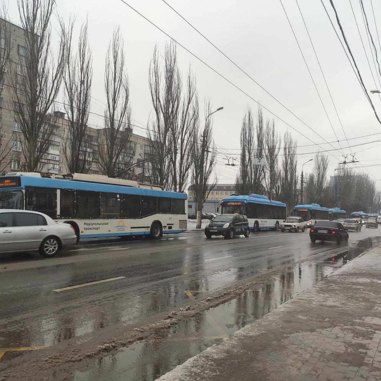 В Мариуполе на проспекте Строителей стоят троллейбусы, - ФОТО