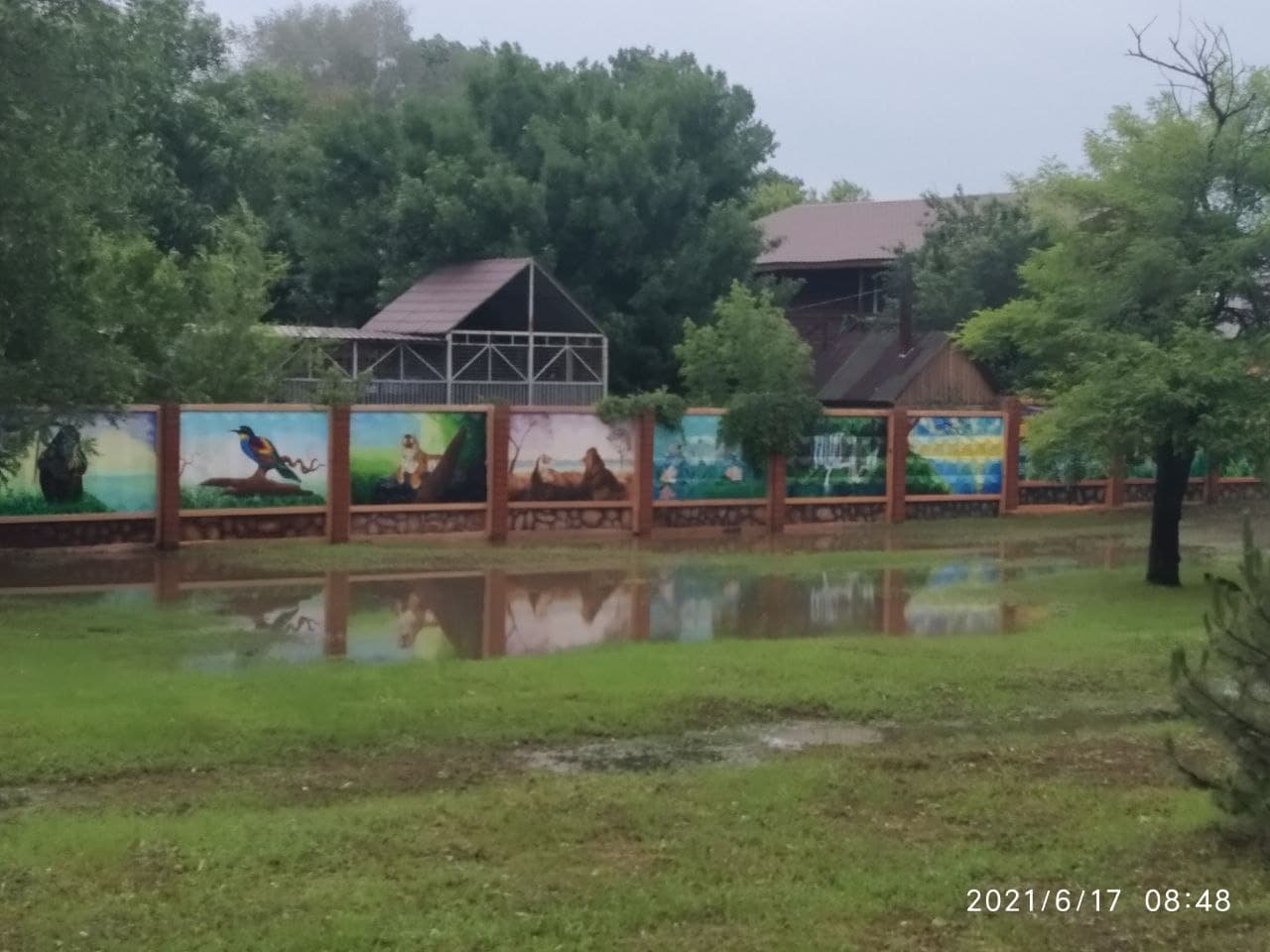 Как питомцы мариупольского зоопарка пережили непогоду, - ФОТО