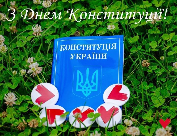 До Дня Конституції Донецька обласна Батьківщина провела те..., фото-4 До Дня Конституції Донецька обласна Батьківщина провела тематичну зустріч «Роль молоді у суспільно-політичному житті країни», фото-4