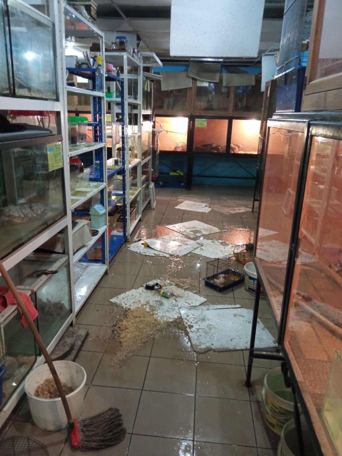 В Мариуполе затопило зоомагазин. Погибли крысы, ежи и шиншиллы, - ФОТО 18+