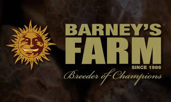 Barneys Farm