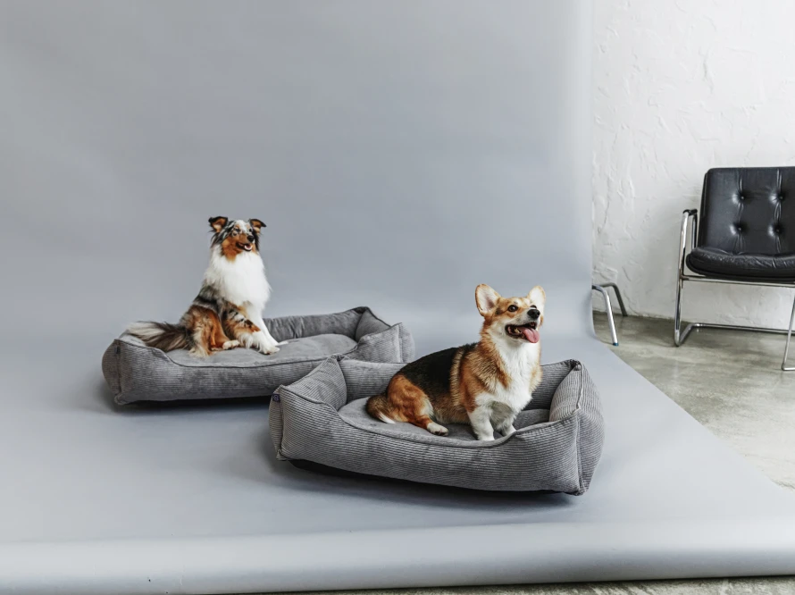 Лежак Dreamer Velvet Gray