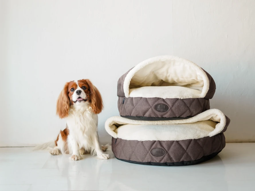 Лежак-з-капюшоном Cover Brown