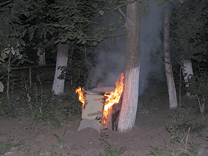 IMG_3689_новый размер
