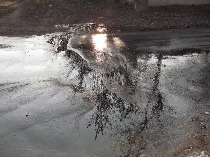 IMG_7939_новый размер