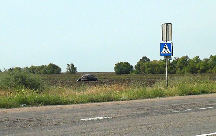 Л на поле 4