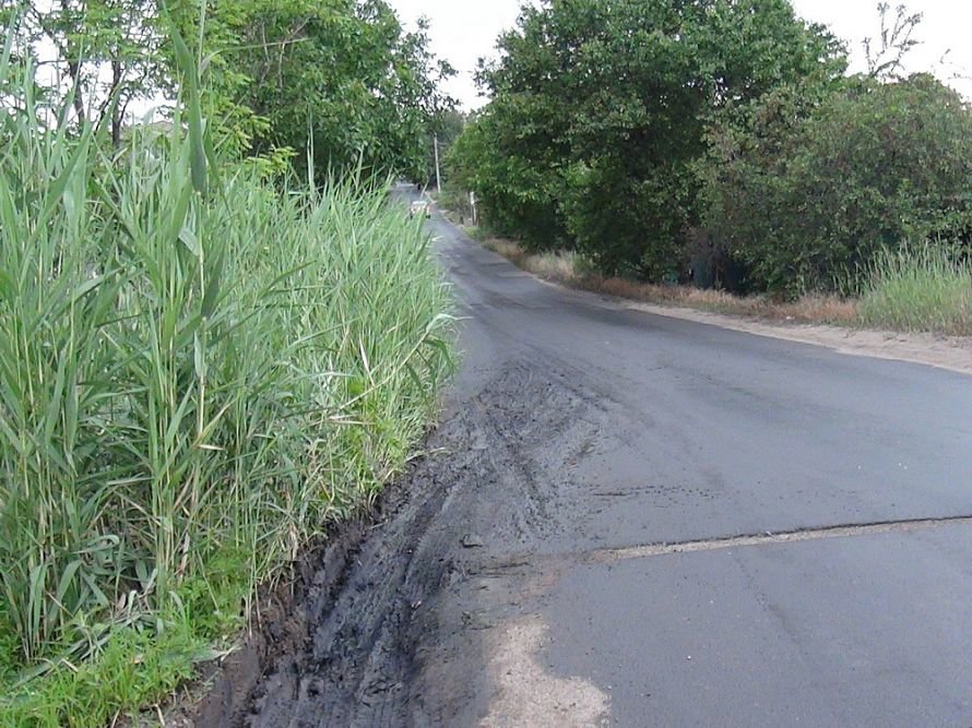 DSC09169_новый размер