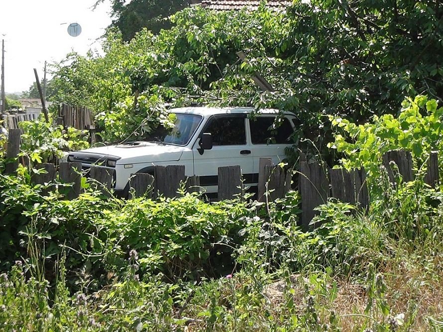 DSC00172_новый размер