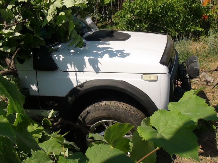 DSC00142_новый размер