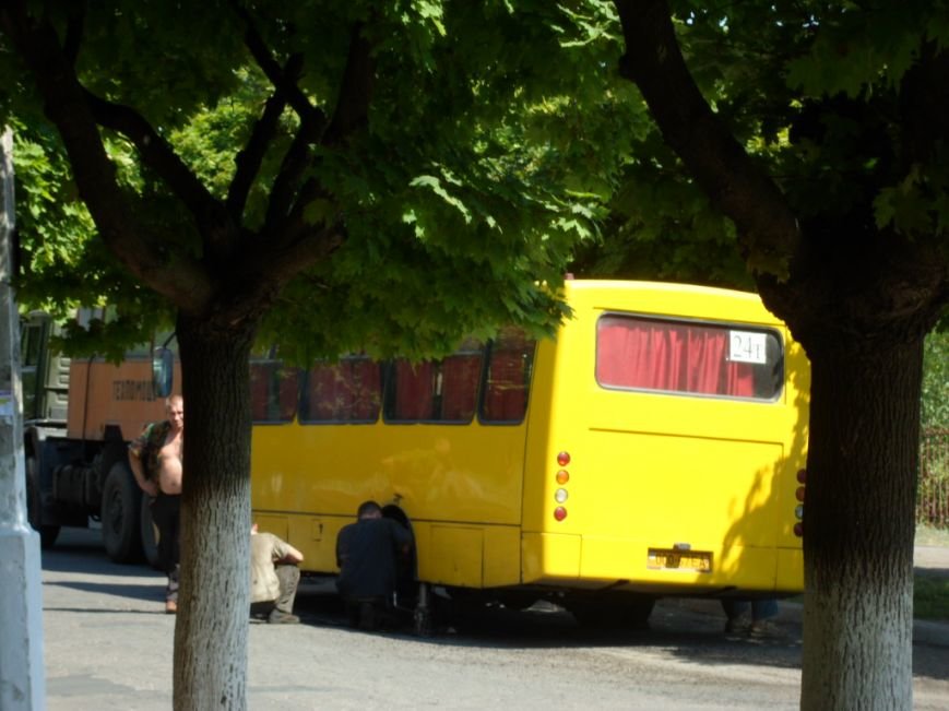 sam_1103_137249954919