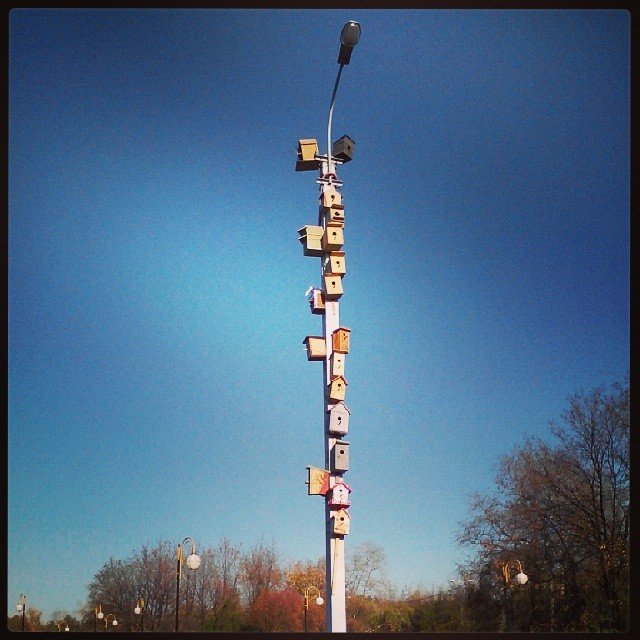 53d2b892398411e3b74322000aeb3ecb_8