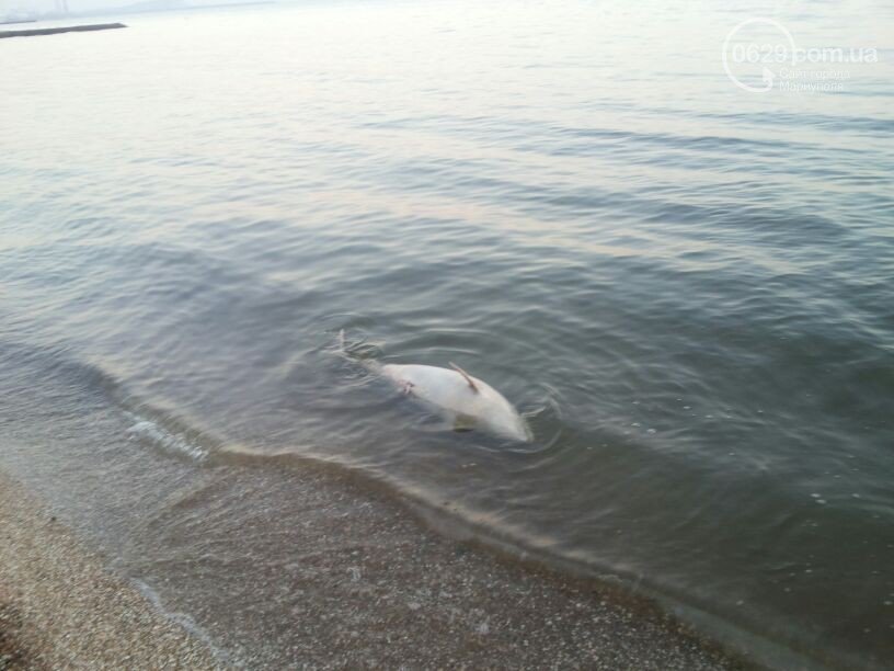 5f2eb37e8735aa75ce22dca9aceb8308