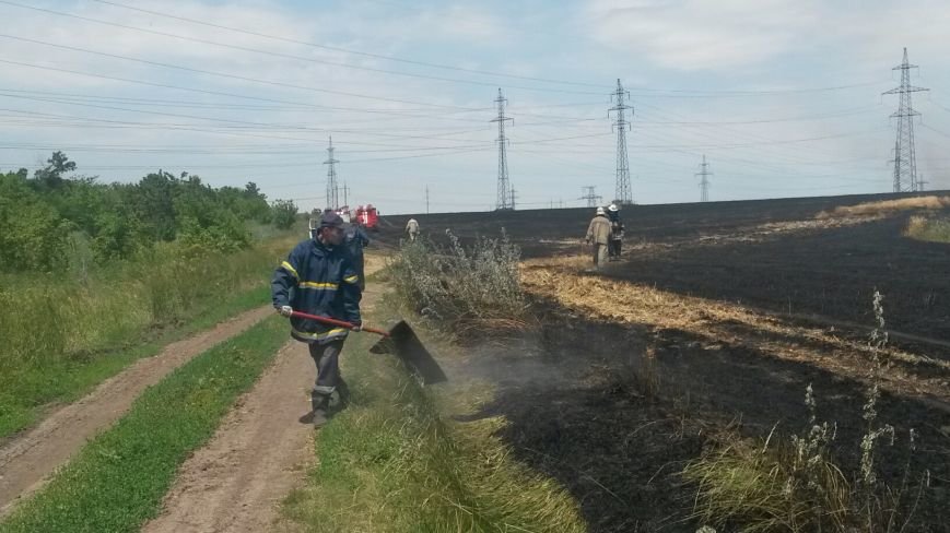 20140704_130205_resized