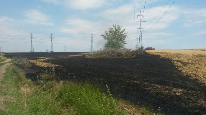 20140704_125910_resized