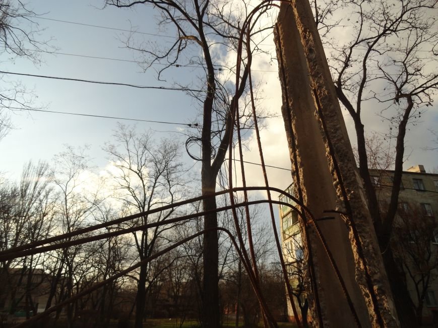 В Мариуполе энергетики передают ток потребителям с помощью деревьев (ФОТОФАКТ) (фото) - фото 1