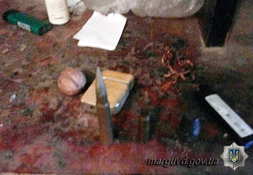 20151217_0d556s1