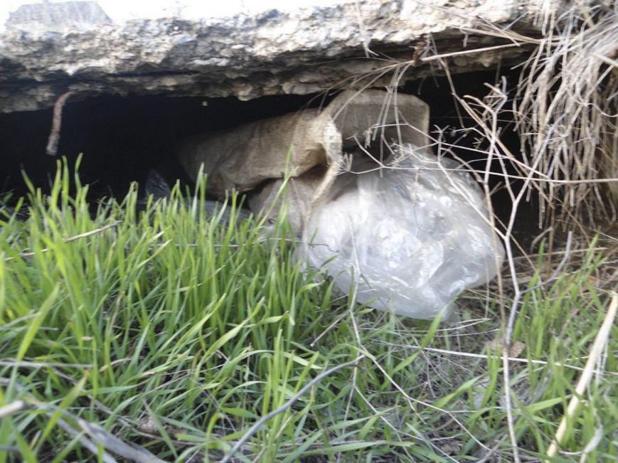 photo_2016-03-24_14-02-38