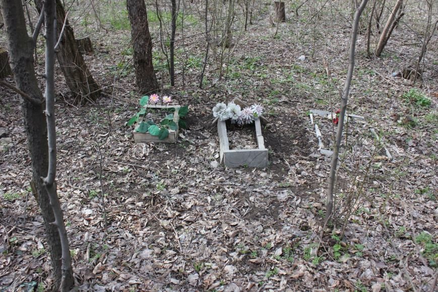 В Мариуполе обнаружено новое кладбище домашних животных (ФОТО) (фото) - фото 1