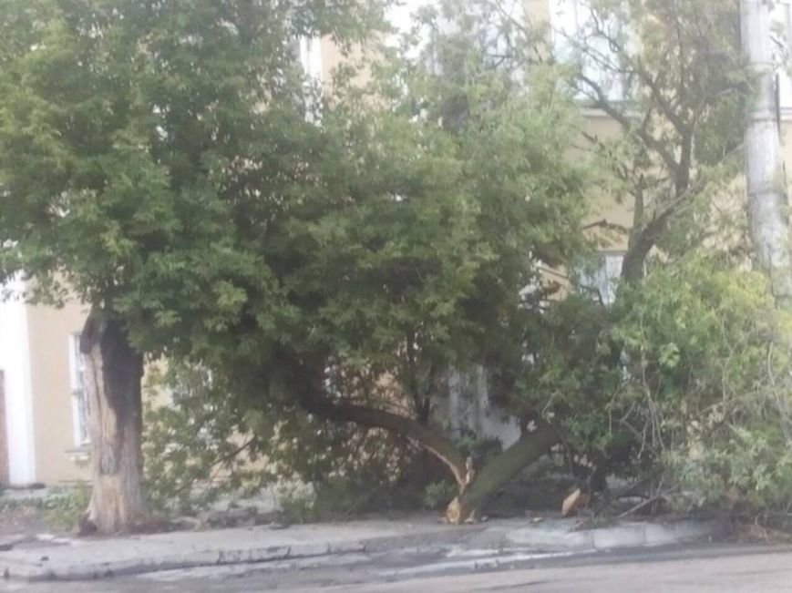 13941164_10206526657353902_158777564_n