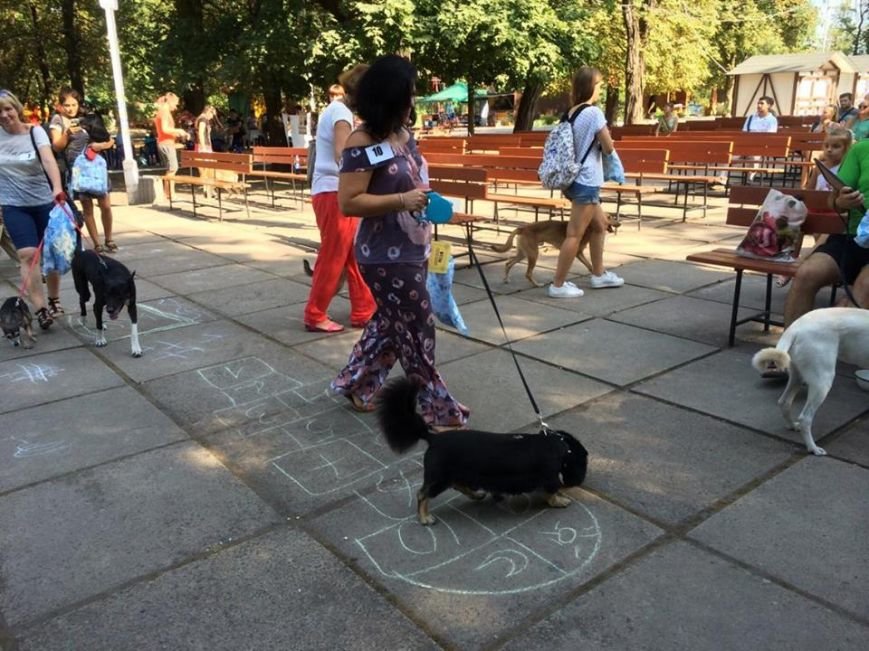 14089568_10206635070064152_223340736_n