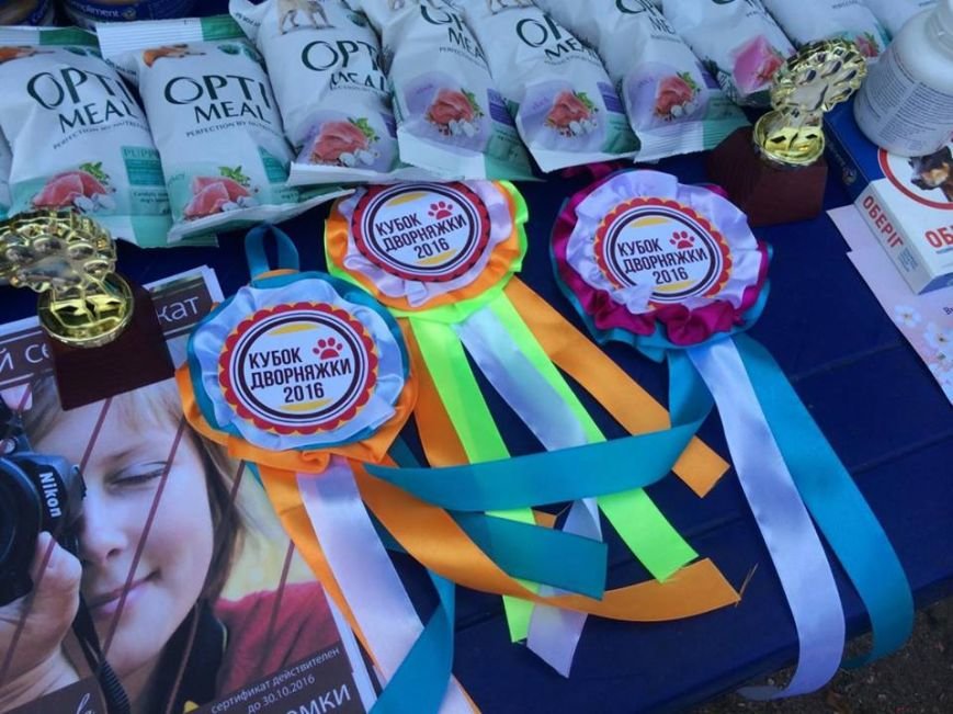 14111700_10206635071264182_888242453_n