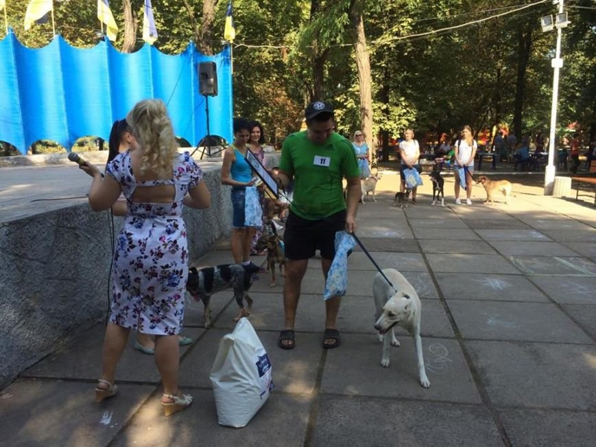 14089403_10206635070144154_661991465_n