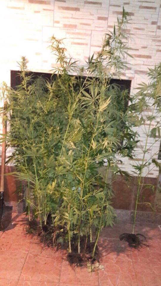 c3448101b70607e70888cb97d3f3cf8a